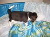 Rylie