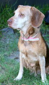 Mazzy