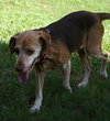 Mazzy