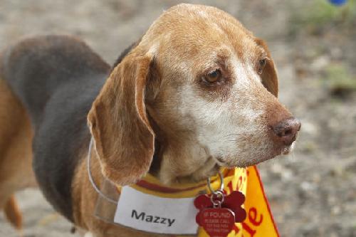 Mazzy
