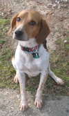 Barney VI