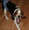 Dudley