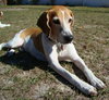 Buster (CL)