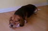 Chumley