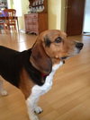 Chumley
