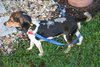 Sparky II