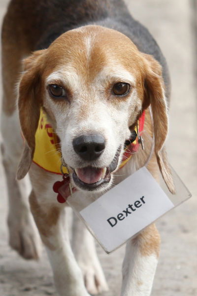 Dexter