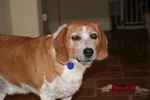 Rusty