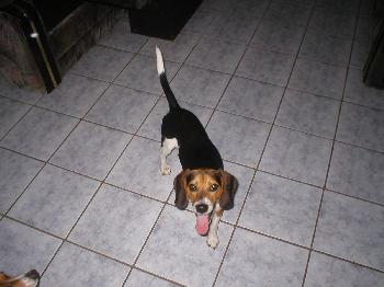 Spencer