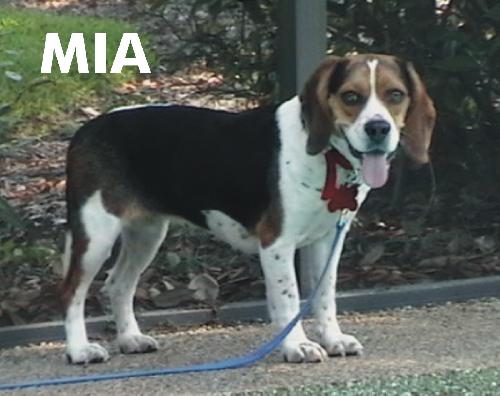 Mia 