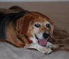 Lucy III