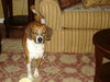 Roscoe II
