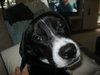 Tootsie II