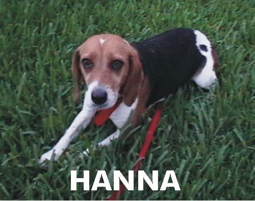 Hanna