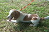 Patches