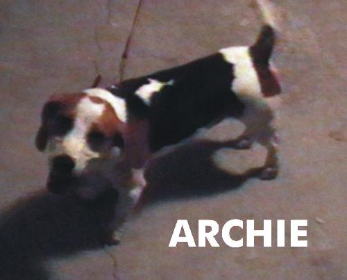 Archie