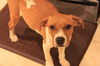 Renley