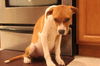 Renley