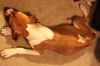 Renley