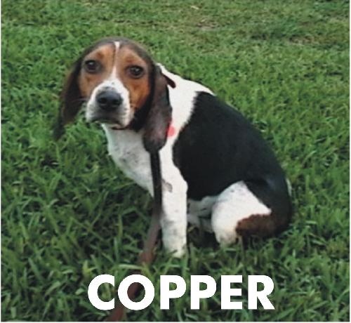Copper V