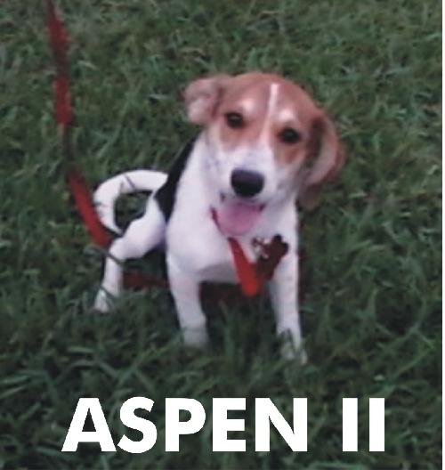 Aspen II