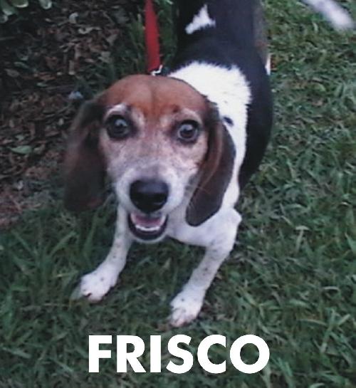 Frisco