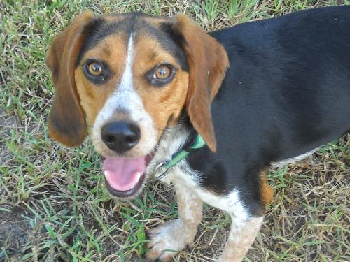 Jethro II