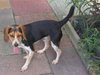 Jethro II