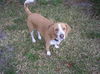 Barkley