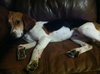 Stanley III