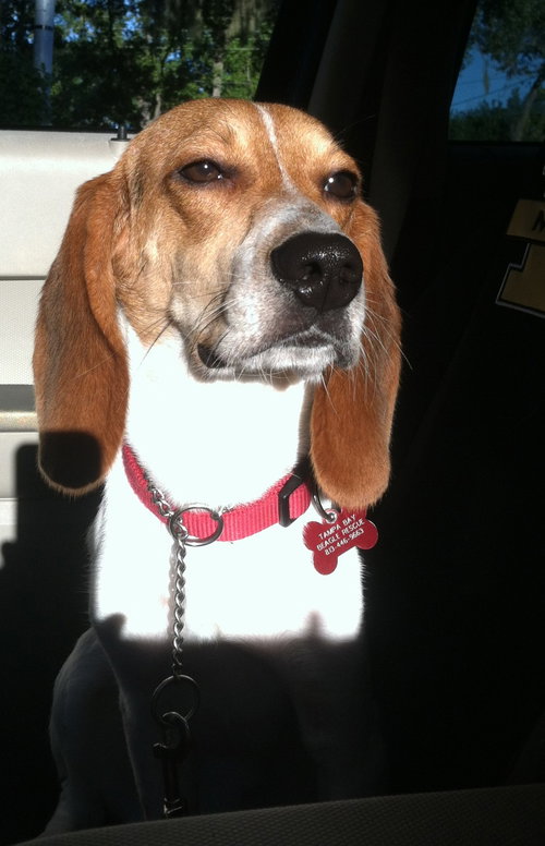 Stanley III