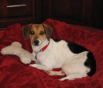 Josie