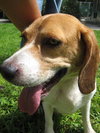 Stanley II