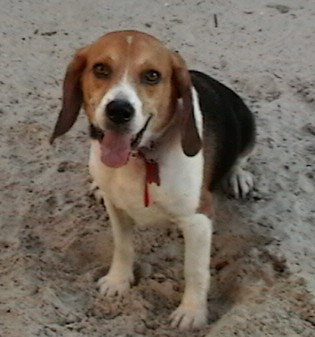 Stanley II