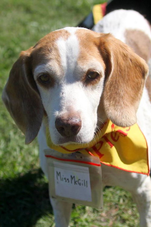 Miss McGill