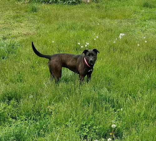 Lady, photo 3