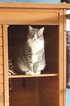 CeeCee - Photo 3