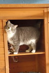 CeeCee - Photo 4