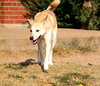 Luna - Photo 3
