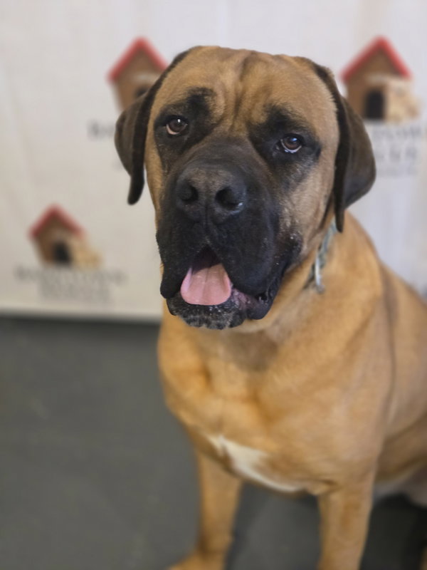 Duke