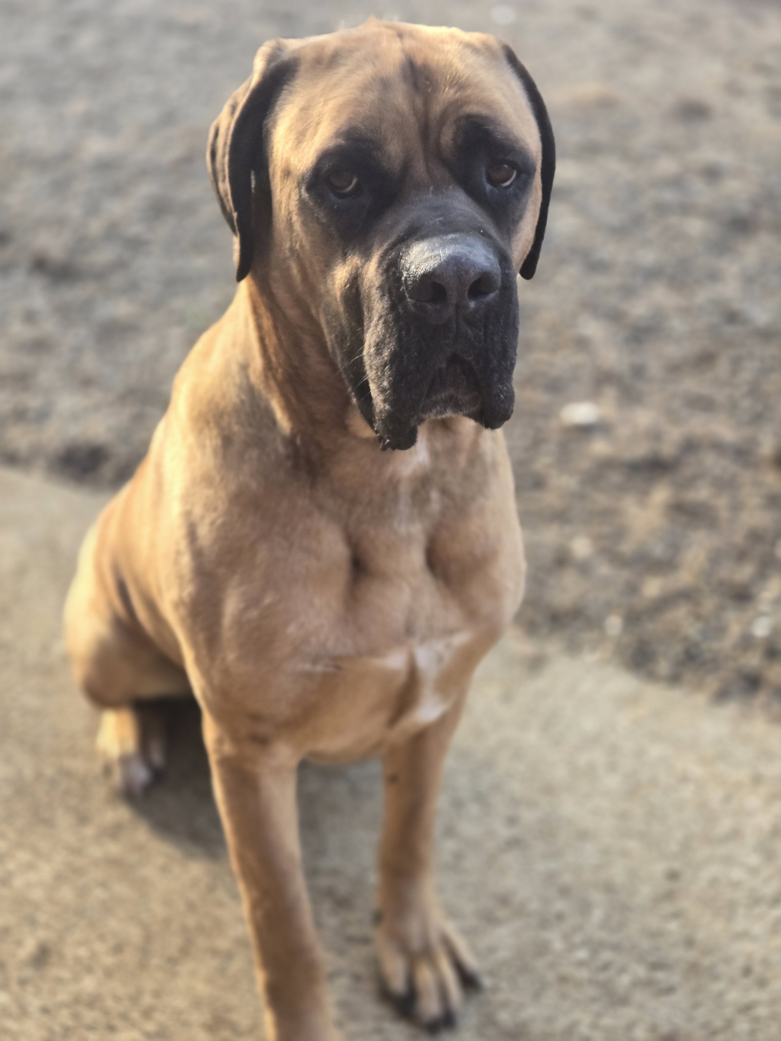 Duke