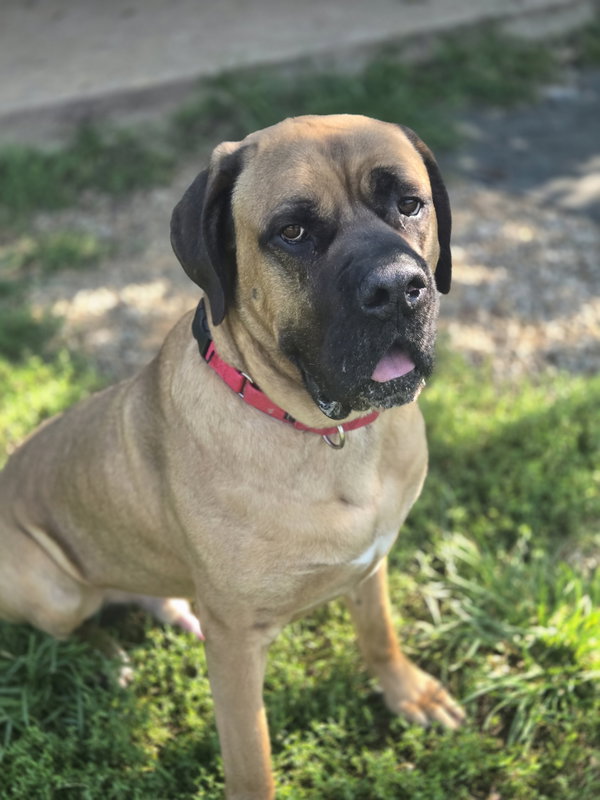 Duke
