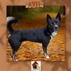 Axel - Photo 1