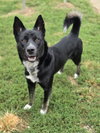 Axel - Photo 2