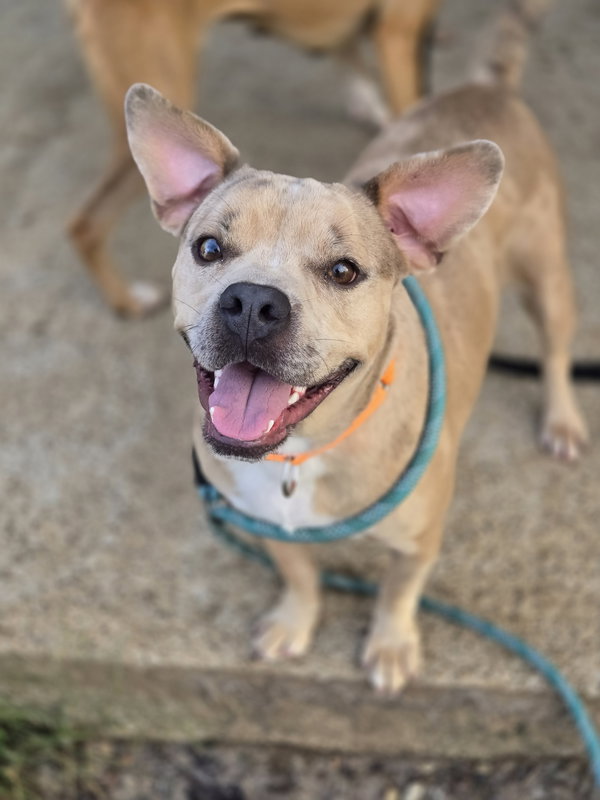 Rupert