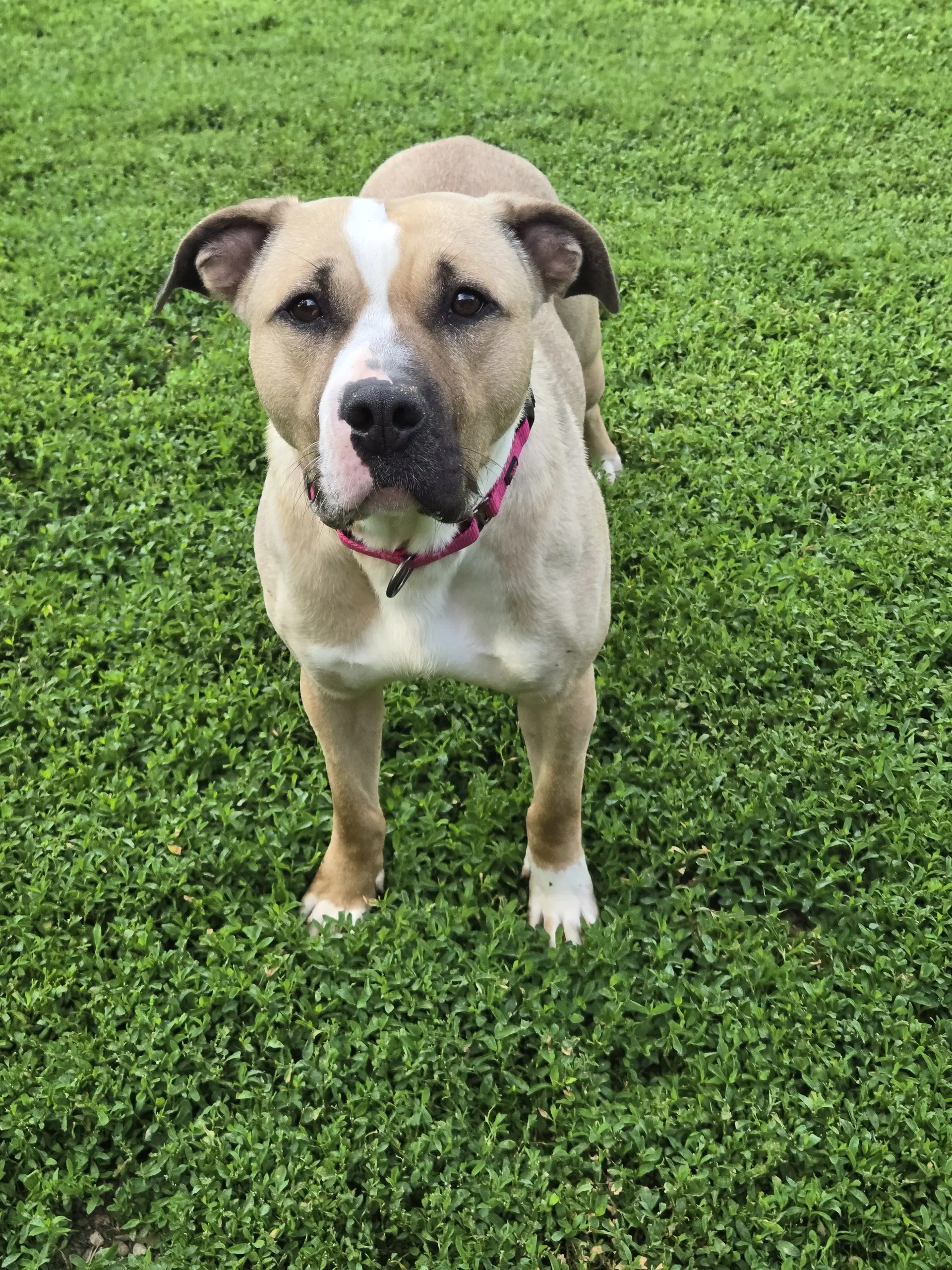 Macy image 2
