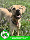 Toby - Photo 1