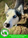 Judy - Photo 2
