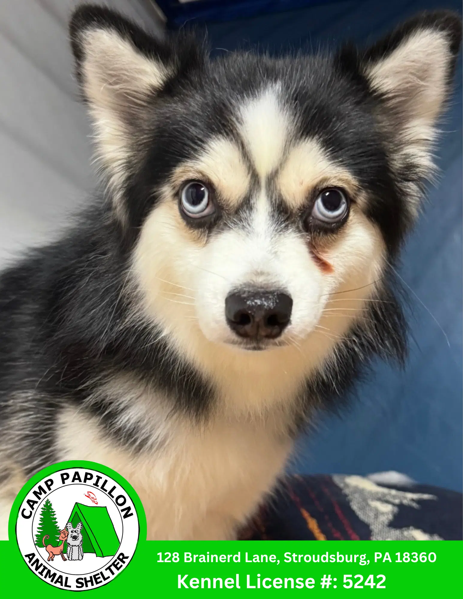 Loki image 1