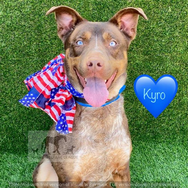 Kyro